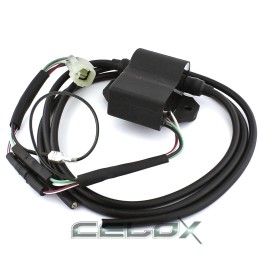 Celox CDI Ignition Module for Ski-Doo Skandic 380 500 1995 1996 1997