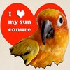 CafePress Sun Conure Love Tote Bag Reusable Natural Beige Canvas