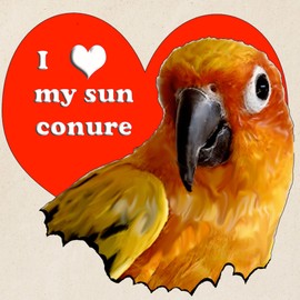 CafePress Sun Conure Love Tote Bag Reusable Natural Beige Canvas Shopping Bag