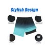 Century Star Mens Swim Trunks with Compression Liner Quick Dry