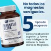 Pack Magnesio Ultra Ultra Omega 3 Nutrientes Vidalabs Mxico Aporte