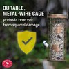 Perky-Pet Squirrel Stumper Wild Bird Feeder - Keep Squirrels Out