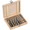 Steelex D2021-1/4-Inch to 1-Inch Deluxe Auger Bit Set, 7-Piece