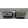 Trader Joe's Dark Chocolate Mint Creams 10oz 284g (Two Tubs)
