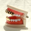 Careland 24k Plated Gold Grillz 8 Teeth Mouth Top and