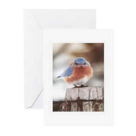 CafePress Mad Blue Bird Greeting Cards Greeting Card (20-pack), Note Card with Blank Inside, Birthday Card Matte