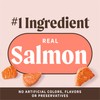 Merrick Power Bites Salmon Recipe Healthy Dog Treats, Real Salmon