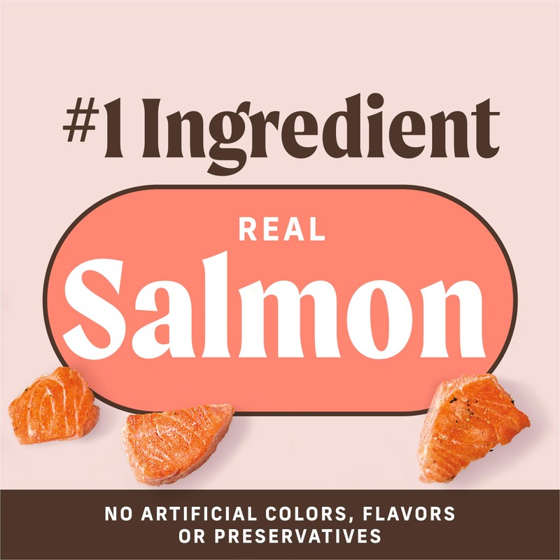 Merrick Power Bites Salmon Recipe Healthy Dog Treats, Real Salmon