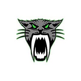 Arctic Cat Logo 4" X 4.5" Vinyl Sticker Decal Cars Trucks Vans Walls Laptop