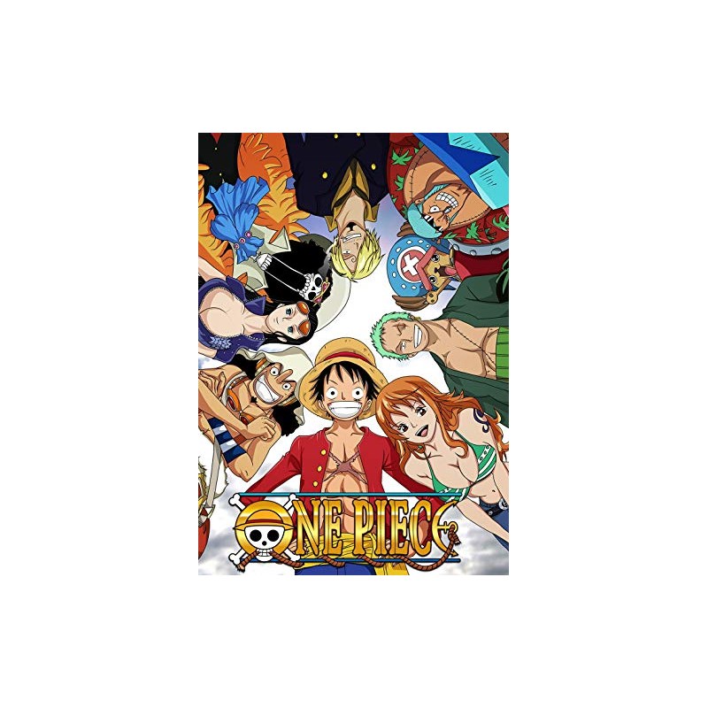 Tainsi One piece Anime Poster 11 x 17 inches, 28