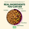 YOUR PET'S KITCHEN Wet Dog Food, Beef Recipe - 13.2