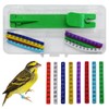 FOIBURELY 80 pcs Numbered Bird Ring Leg Bands for Gouldian
