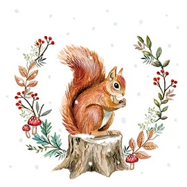 20 Squirrel Napkins Collectible for Winter Animals Animal Motif Autumn Autumn Napkins Christmas Forest Table Decoration Craft Decoupage Napkin Technology 33 x 33 cm