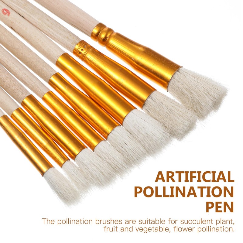 Pollination Brush Set 8 Pcs Vegetable Pollination Brush Pollination Tools