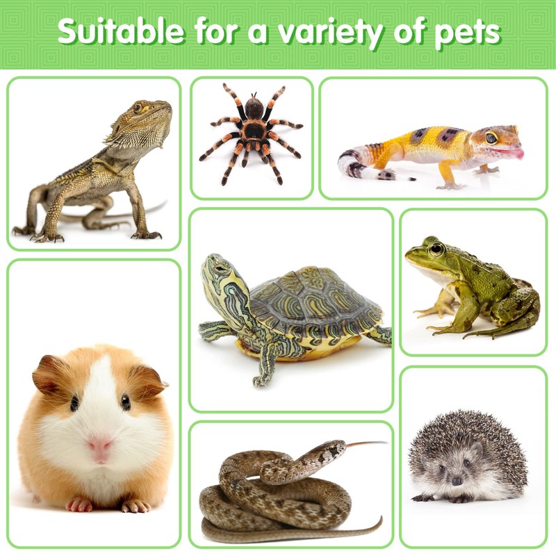 Nobleza - Turtle Water Bowl, Feeding Bowl, Turtles Reptiles Feeding