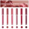 6PCS Lápiz labial mate, lápiz labial antiadherente, lápiz labial hidratante