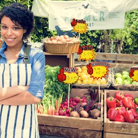 500 Pieces Burst Signs Fluorescent Signs Blank Star Shape Retail Sale Tags Burst Paper Signs for Retail Party Favors, 10 Styles (Regular Shape)