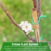 Farm Plastic Supply - Bamboo Garden Stakes - Bambo Sticks,