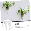 RORPOIR 2Pcs Wall-mounted Cone Vase Hydroponic Planter Clear Decorative Hanging