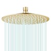 AULEEND All Metal Rain Shower Head - Heavy Duty Stainless