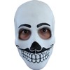 Partychimp 54-25029 Unisex Adult Party Mask, Multicoloured