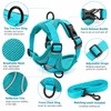 Cat Harness and Leash Set for Indoor Cats & Small