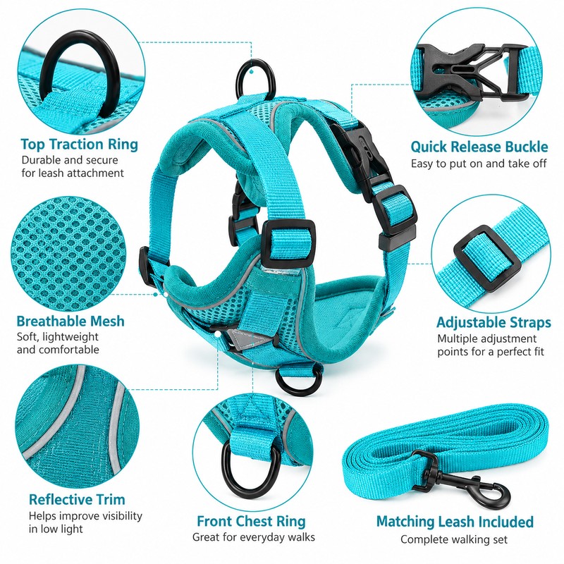 Cat Harness and Leash Set for Indoor Cats & Small