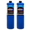 BLUEFIRE 2x Standard Propane Gas Fuel Cylinder / Canister,14 oz,
