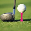 FUZVOL 40 PCS Castle Golf Tees Plastic 57MM Castle Tees