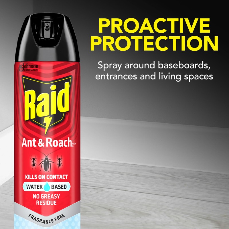 Raid Ant & Roach Aerosol Bug Spray, Water-Based Formula Insecticide