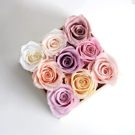 Fleur de Zen Eternity Roses | Gift-Ready Preserved Roses in a Box for Her | Fresh Roses for Delivery Prime