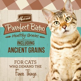 Merrick Purrfect Bistro Premium Healthy Grains Dry Cat Food For Adult Cats, Real Salmon And Brown Rice Recipe - 12.0 lb. Bag