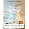 42 Inch Ceiling Fan with Light, APP & Remote, Downrod