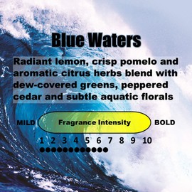 UltraScent Car Vent Clips Air Freshener Stealth Stix Car Vent Clips that Slip on Vent Blade, 1-Pack/4-Stix (Blue Waters)