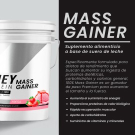Whey Protein Mass Gainer Psn Suplemento Polvo Fresa