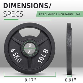 Fitvids Olympic Cast Iron 2-Inch Weight Plate for Strength Training & Weightlifting, Multiple Weights Available, 10LB (Set of 4)