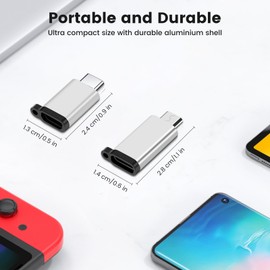 leizhan USB C Adapter (2 Pack, Silver) Type C Male to Micro Female Micro Male to Type C Female with Lanyard Compatible with MacBook Pro, Smartphones, Tablets, PCs