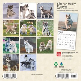 BrownTrout, Siberian Husky Puppies 2025 Mini Wall Calendar