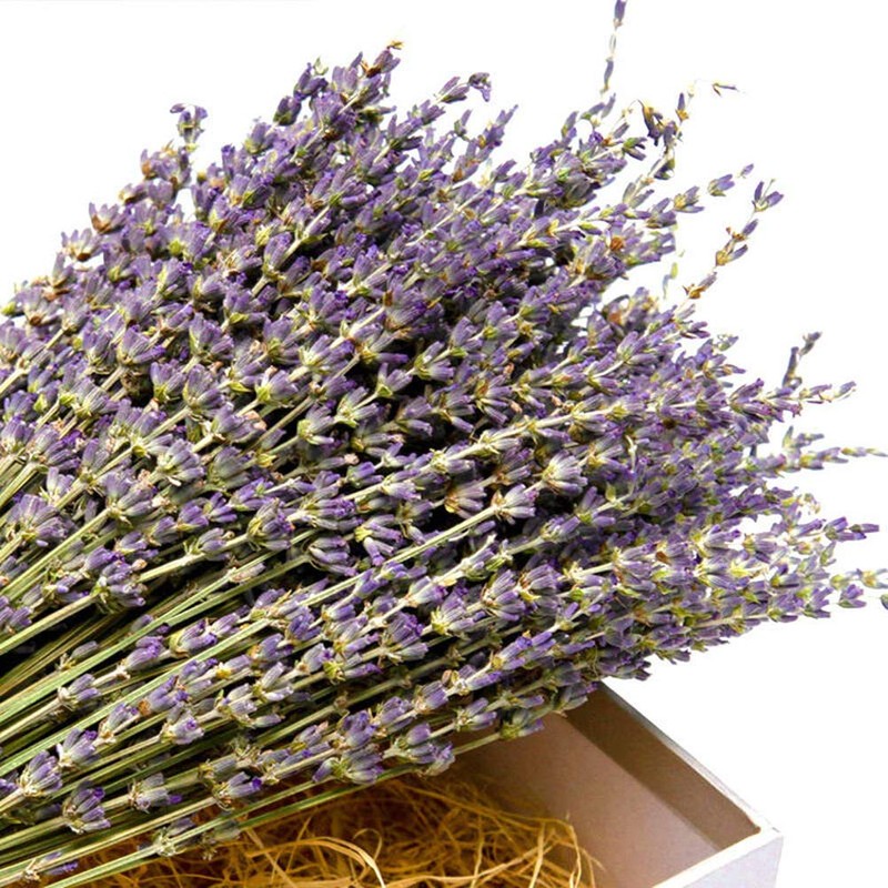 TooGet Natural Lavender Bundles, 200 Freshly Harvested Dried Stems Lavender