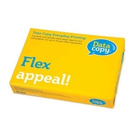 DataCopy White Paper A4 80gsm - 1,000 Sheets
