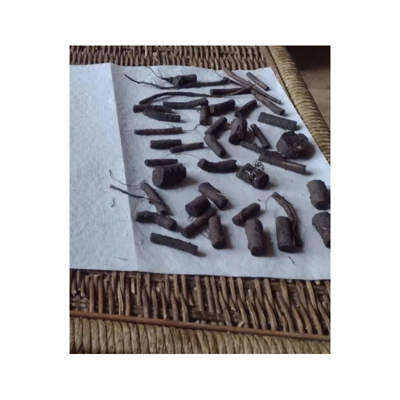 12 (1/2" to 1" Long) Comfrey (bocking 14) Root Cuttings