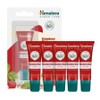 [Himalaya] Himalaya Lip Balm 10g / [히말라야] 히말라야립밤 10g X 5입 - 스트로베리