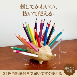 Queen-b Hedgehog Pen Stand with 24 Colored Pencils, Pen Holder, Colored Pencil Holder, Stationery Storage, Cute, Tabletop, Desk, Organization, Stylish, Interior, Kids, Gift, Birthday, School Entrance