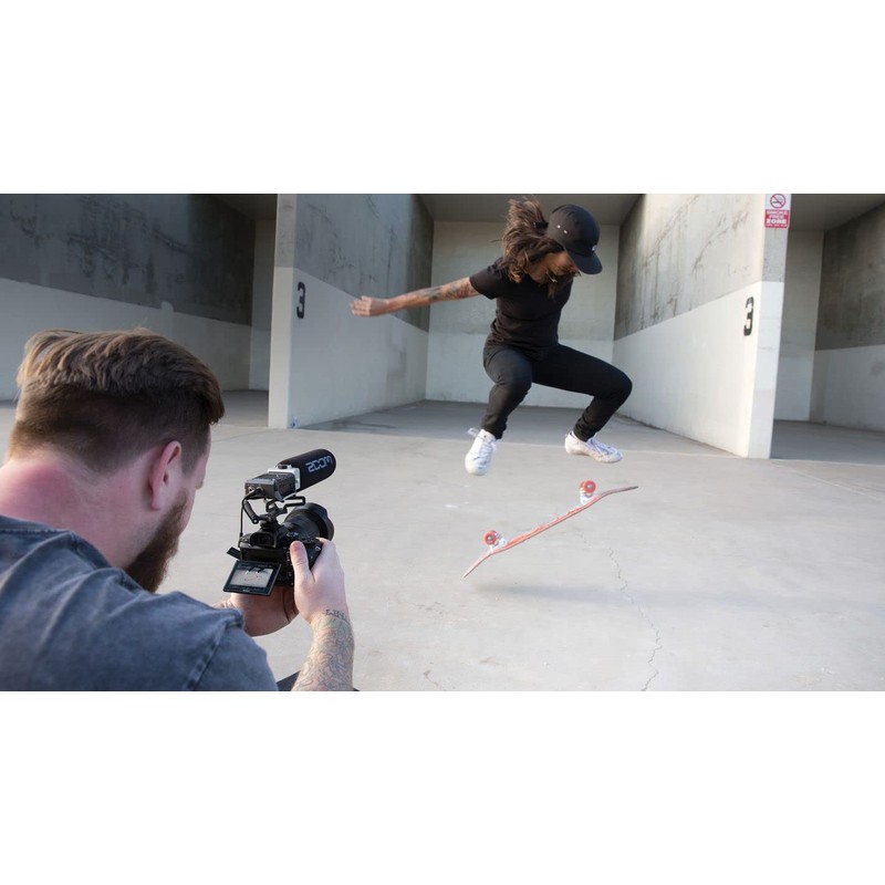 Zoom SMF-1 Shockproof Mount for F1