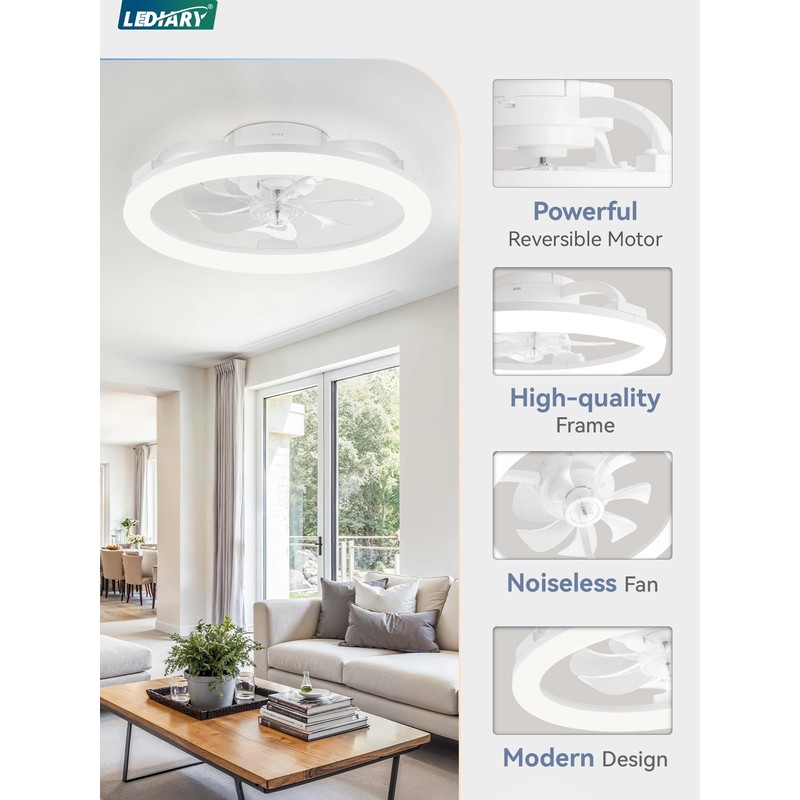 LEDIARY 20 Inch Low Profile Ceiling Fans with Lights and