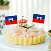 ZXvZYT Toothpick flag (Haiti)