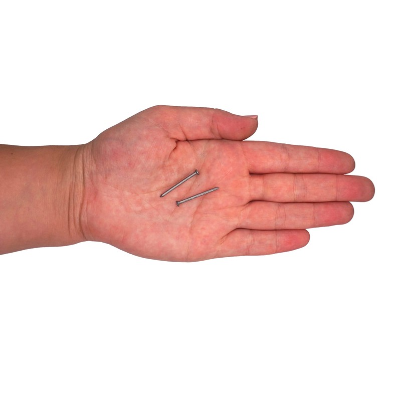 SKIR'CO (400 pcs) Steel 1.6 x 25 mm Construction Nails,