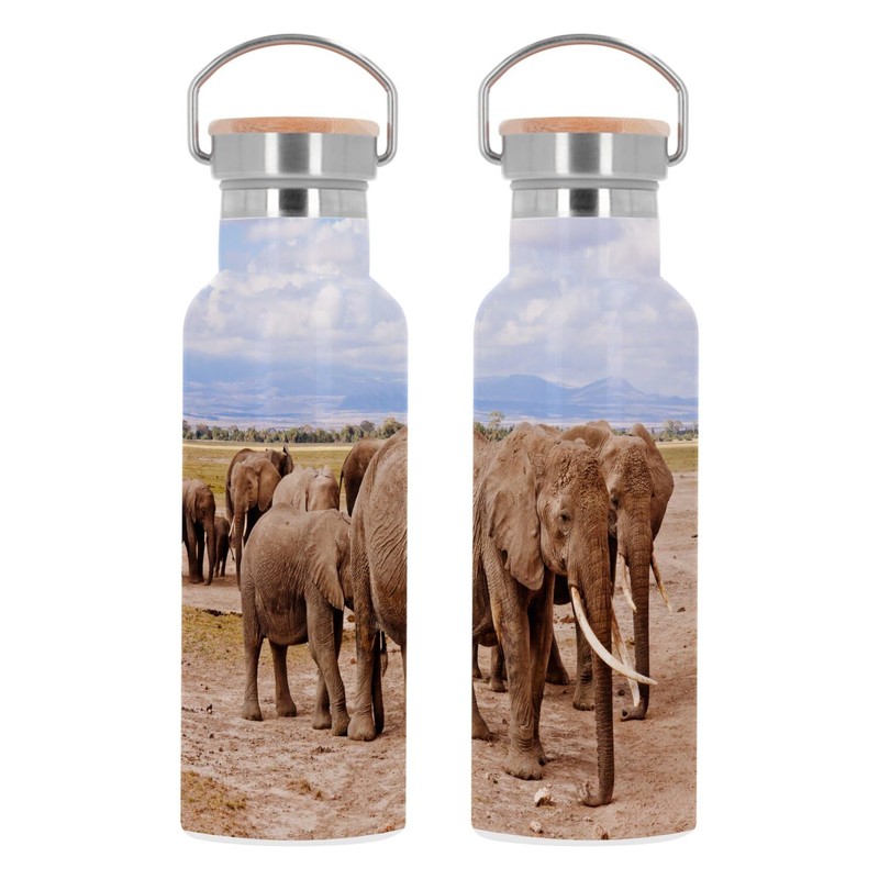 Edelstahlflasche Isolierte Thermosflasche - Elefantenhorde in der WildSavanne Tiere -