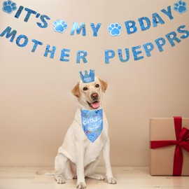 Zaabaazina Dog Birthday Decorations, Dog Birthday Party Supplies, Dog Birthday Bandana Boy Blue Dog Birthday Hat, Dog Birthday Banner for Dogs Party Supplies Decorations