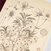 Hobo Nikki Notebook by Makino Tomitaro/Hobo Nikki Grid Notebook (A5)